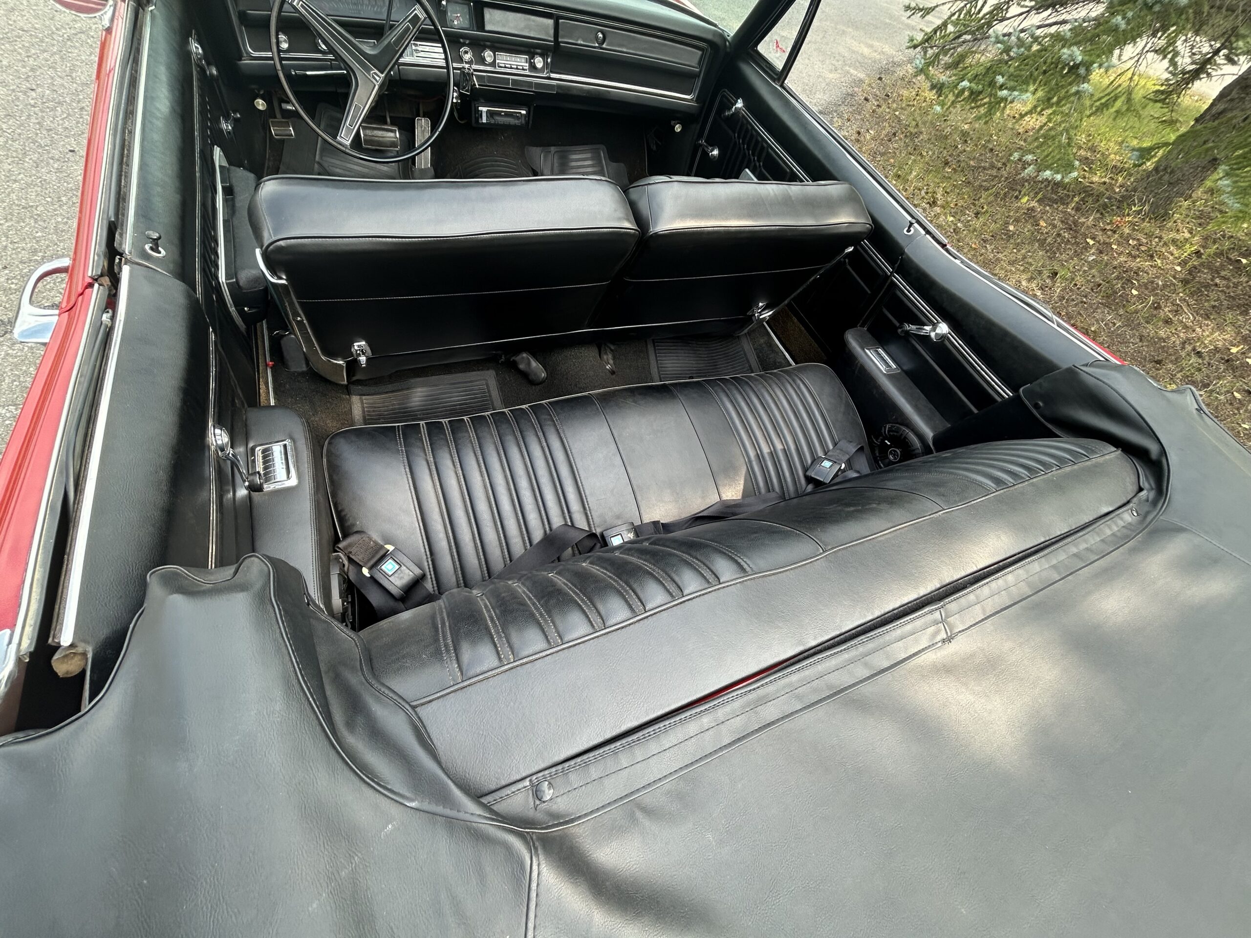 Photo 2024-08-15, 3 56 47 PM